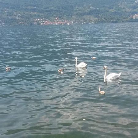 Appartamento Vista Lago - Betta Lezzeno Buitenkant foto